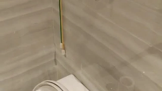 蜜桃传媒PM042虎年贺岁虎虎生威