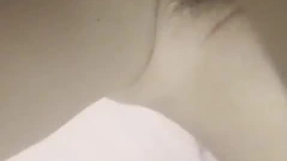 全自动系列疯狂摇摆