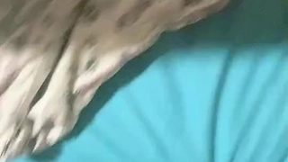 潮吹喷水抽搐内射黑丝大屁股