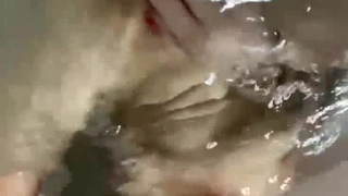 【婚纱照事件】新娘背着新郎和拍婚纱照的摄影师舔B偷情视频流出！内有小夫妻生活照婚纱照！