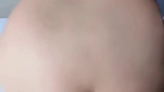 KIN8TENGOKU-3604 スレンダーBODYバーシャちゃんのおまんこをじっくり観察 PUSSY COLLECTION プシコレ Vasha / バーシャ